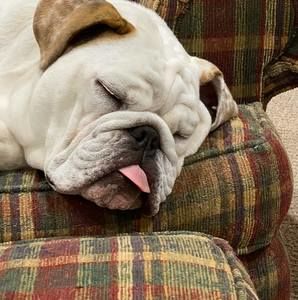 Meet your Posher, Larry